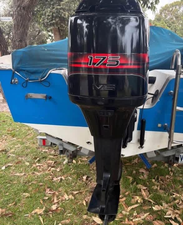 Mercury 175